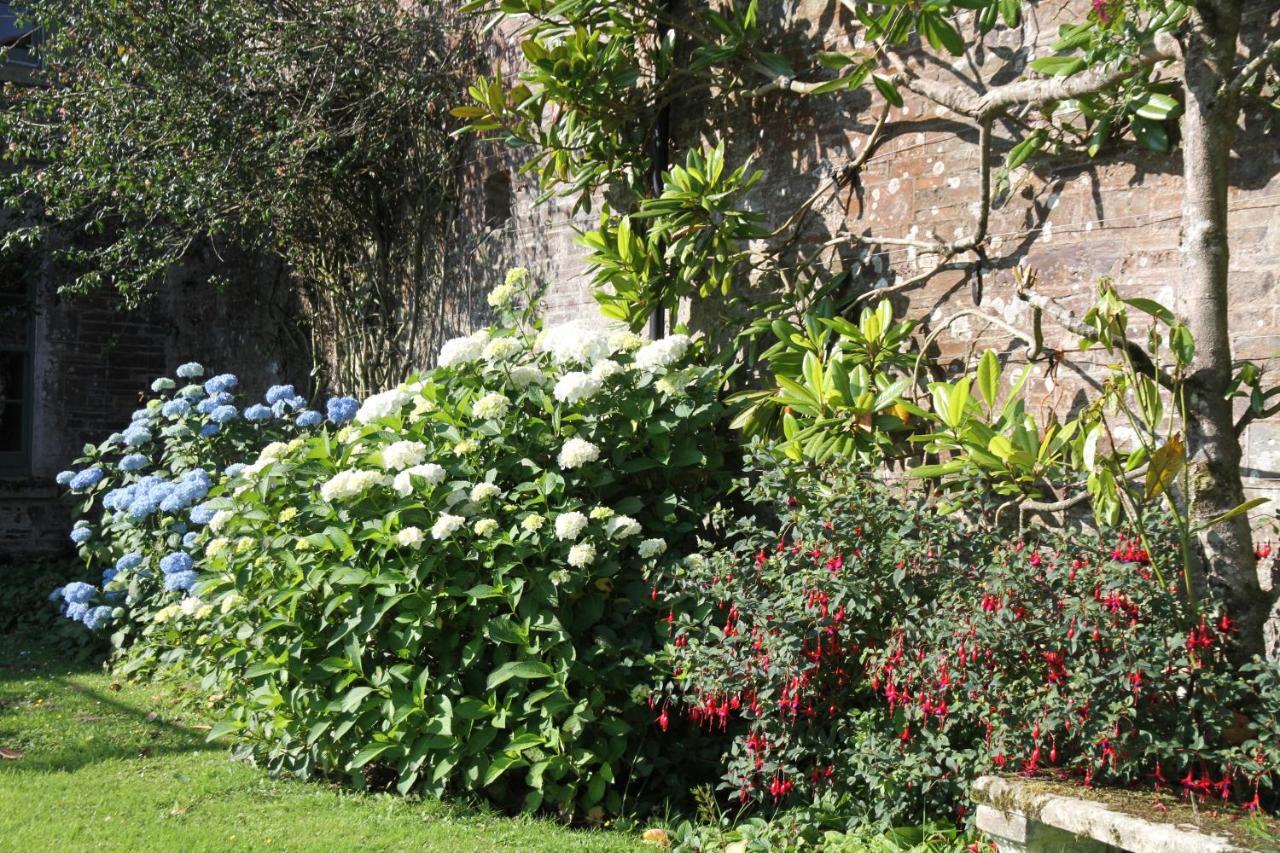 Devon Country Paradise Tavistock  Exterior photo